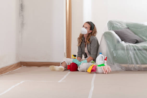 Reliable Basement Mold Remediation contractor in Glen Arbor, MI by WQB Mold Removal